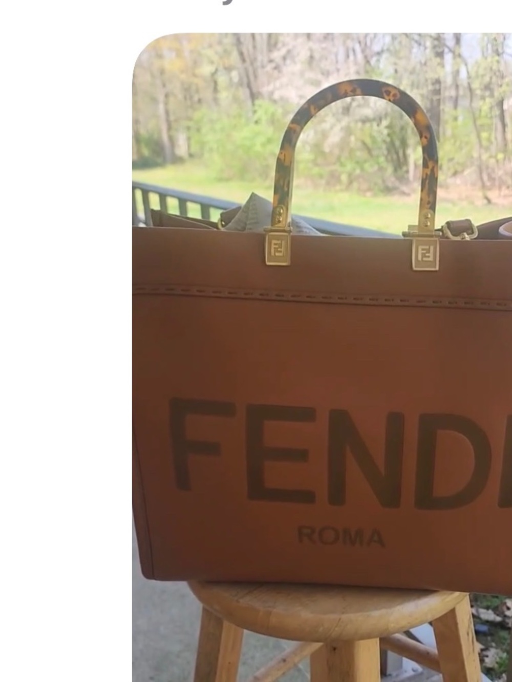 Handbag